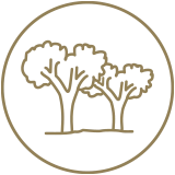 godrej properties apartment for sale in bangalore apartment flat for sale in bangalore apartment to buy in bangalore bangalore apartments for sale bangalore homes for sale bangalore india real estate builders in bangalore flats in bangalore for sale new projects in bangalore under construction pre launch offer pre launch discount possession lakeside projects high rise apartment housing bangalore investment property bengaluru real estate properties in bangalore real estate property bangalore buy a flat near top developers in bangalore top builder in Bangalore