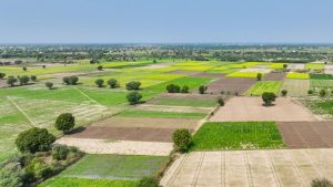 Godrej Yelahanka Bangalore Godrej Yelahanka Reviews Godrej Yelahanka Apartment Godrej Yelahanka Price Godrej Yelahanka Floor Plan Godrej Yelahanka for Sale Godrej Yelahanka Photos Godrej Yelahanka Location Godrej Yelahanka Master plan Godrej Yelahanka Resale Godrej Yelahanka Address Godrej Yelahanka reddit Godrej Yelahanka Launch Date Godrej Yelahanka Bengaluru Godrej Yelahanka upcoming projects New projects in Yelahanka Godrej Aveline Bangalore Godrej Aveline Reviews Godrej Aveline Apartment Godrej Aveline Price Godrej Aveline Floor Plan Godrej Aveline for Sale Godrej Aveline Photos Godrej Aveline Location Godrej Aveline Master plan Godrej Aveline Resale Godrej Aveline Address Godrej Aveline reddit Godrej Aveline Launch Date Godrej Aveline Bengaluru Godrej IHP Apartments Godrej IHP Launch Godrej IHP Location Godrej IHP project Godrej Aveline Yelahanka Bangalore Godrej Aveline Yelahanka Reviews Godrej Aveline Yelahanka Apartment Godrej Aveline Yelahanka Price Godrej Aveline Yelahanka Floor Plan Godrej Aveline Yelahanka for Sale Godrej Aveline Yelahanka Photos Godrej Aveline Yelahanka Location Godrej Aveline Yelahanka Master plan Godrej Aveline Yelahanka Resale Godrej Aveline Yelahanka Address Godrej Aveline Yelahanka reddit Godrej Aveline Yelahanka Launch Date Godrej Aveline Yelahanka Bengaluru Godrej Aveline Yelahanka upcoming projects New projects in North Bangalore Godrej Coimbatore Plots Godrej Coimbatore Launch Godrej Coimbatore Land Godrej Coimbatore Location Godrej Coimbatore Land Godrej Coimbatore Plot Price